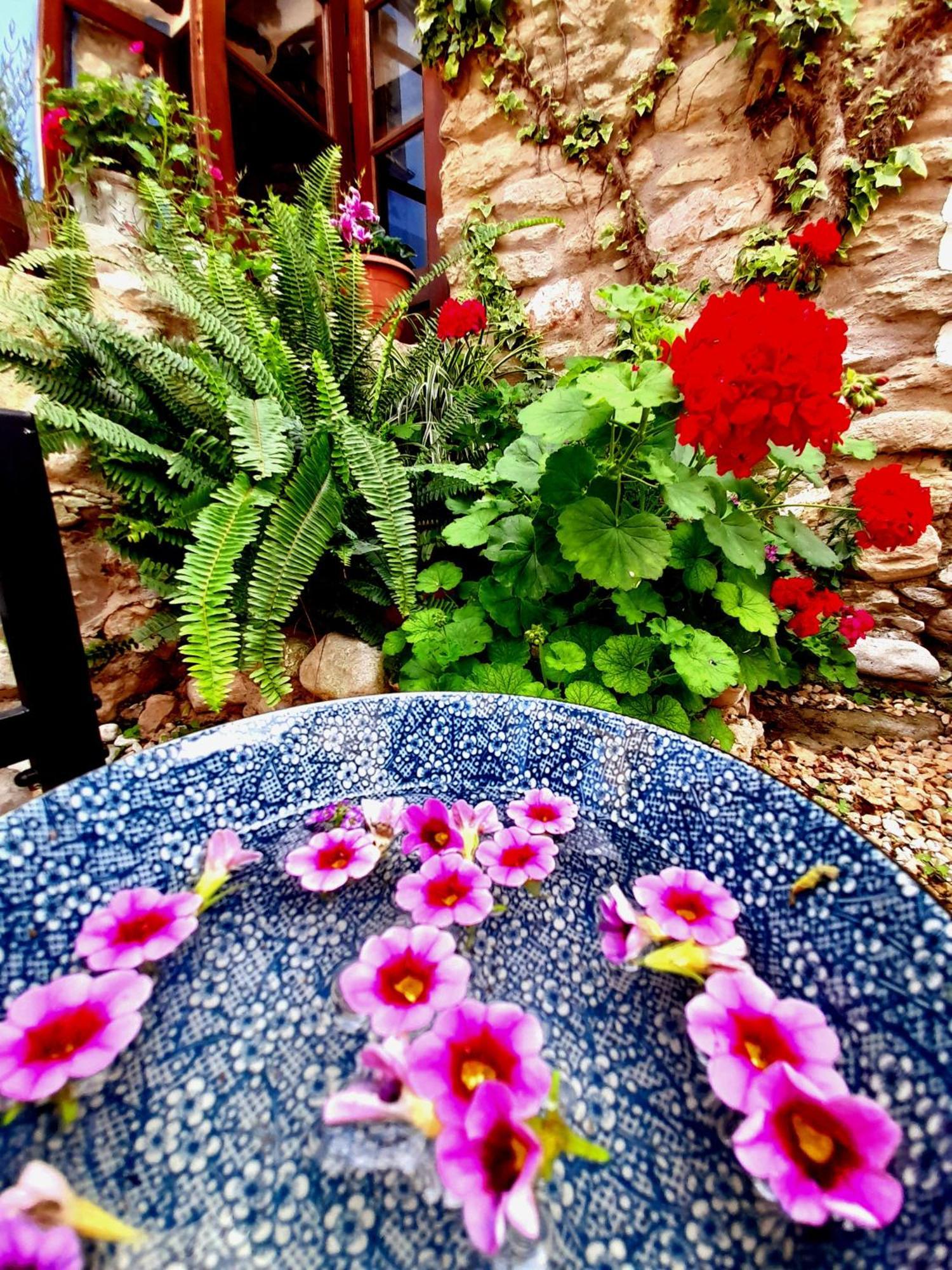Casa Boutique El Capricho Adults Only Hotel Beniali