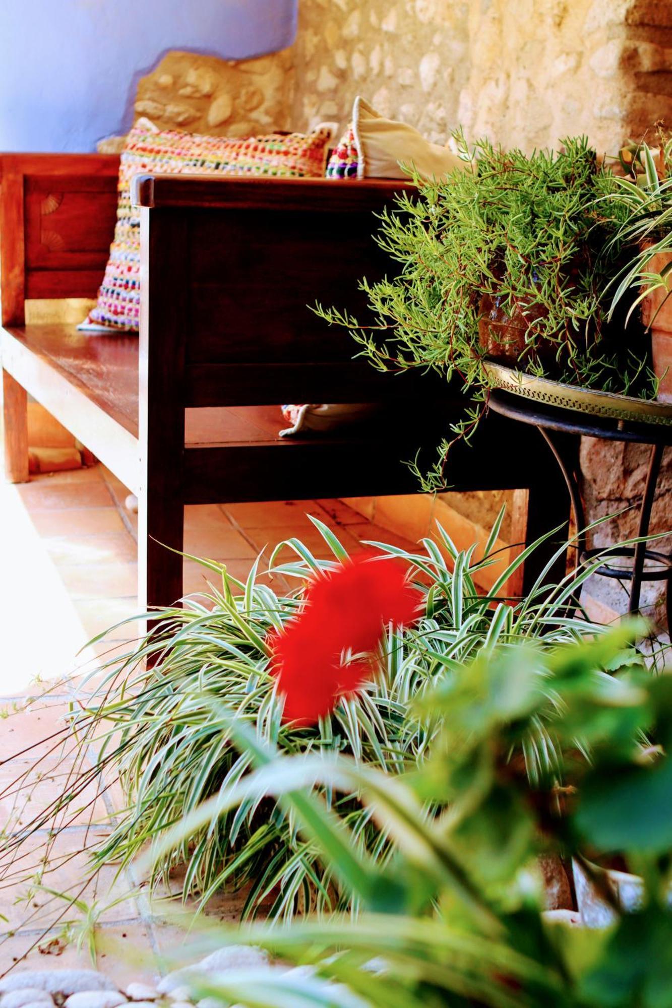 Hotel Casa Boutique El Capricho Adults Only *