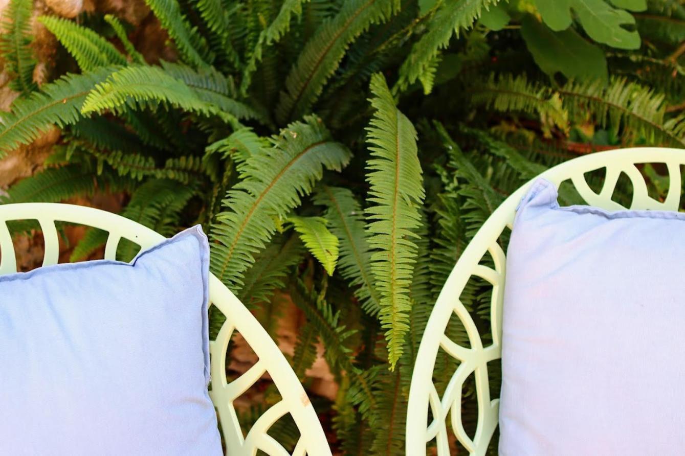 Casa Boutique El Capricho Adults Only Hotel Beniali